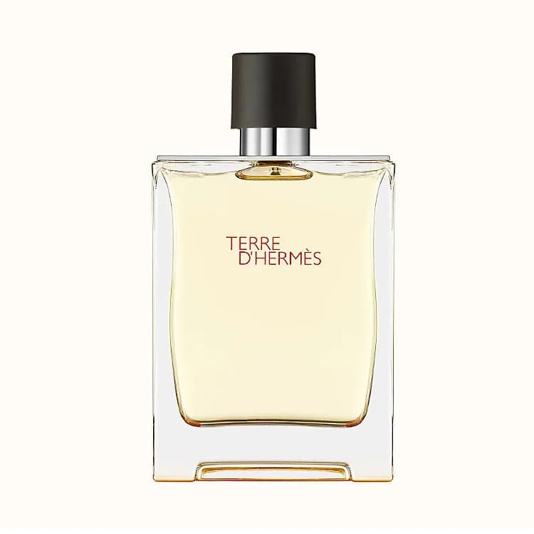 Hermes Terre D' Perfume For Men EDT 200ml